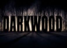 Darkwood (Xbox One Key)