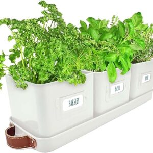 Doniczki do ziół na kuchenny parapet, do wewnętrznego sadzenia ziół, z uchwytami skórzanymi, do uprawy roślin domowych i przypraw, z kamienną tacą