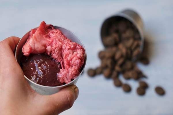 Dlaczego zbilansowana dieta z mokrą karmą jest kluczowa dla zdrowia kota?