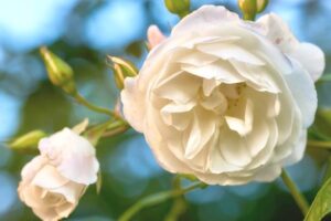 Plecak turystyczny z nowoczesnymi gadżetami na górskim szlaku